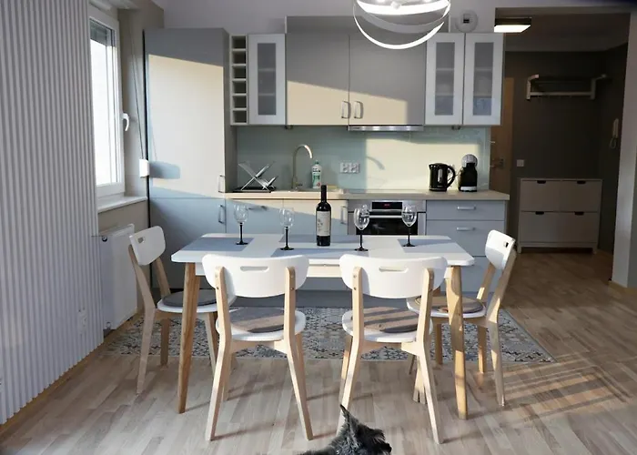 Amerigo فروتسواف